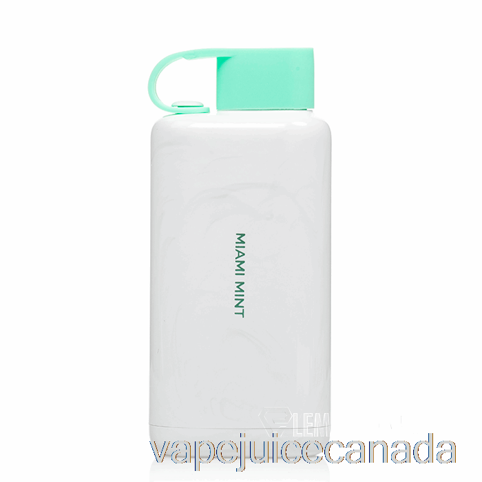 Vape Canada VOZOL STAR 9000 Disposable Miami Mint